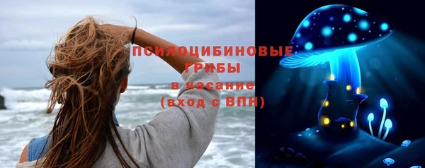 сатива Аркадак