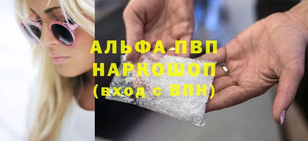 сатива Аркадак