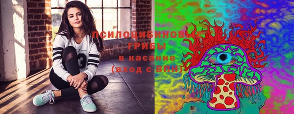 сатива Аркадак