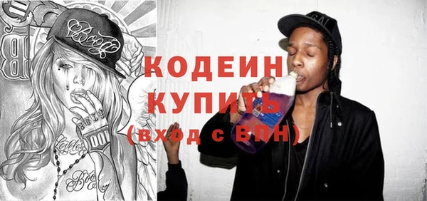 амф Няндома