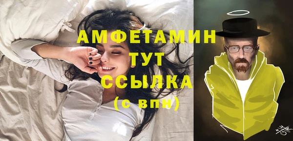 сатива Аркадак